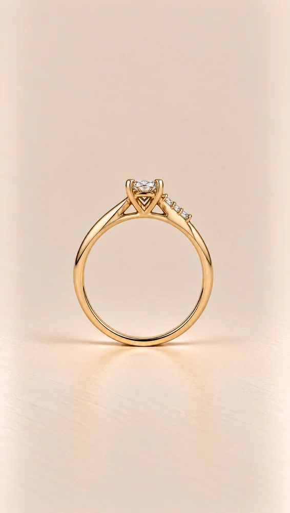 Anillo Cruzado, vista 2